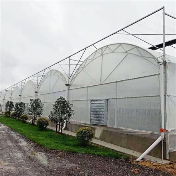As calhas altas do túnel arejam estufa do período da circulação a multi para o crescimento de flores