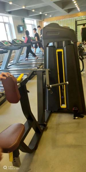 Befreeman en gros professionnel commercial équipement de musculation assis machine de rangée arrière