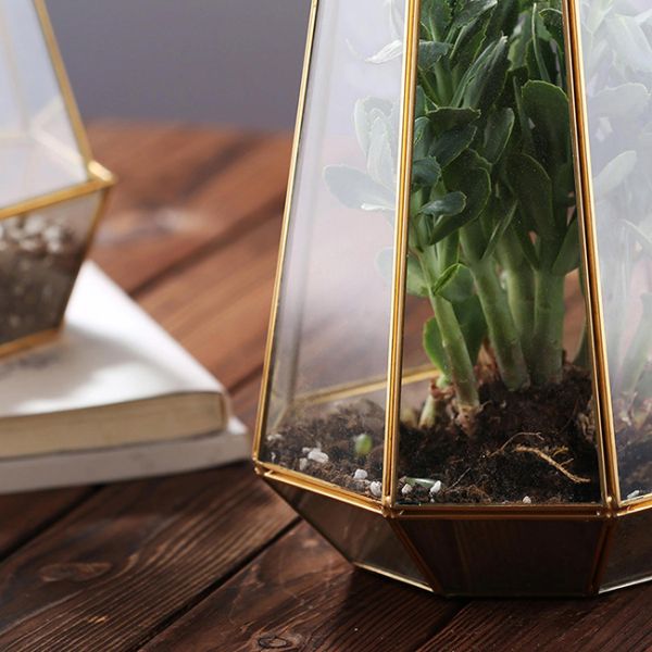 Irregular Geometric Glass Terrarium , Tabletop Diy Geometric Terrarium