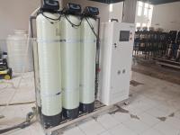 Single Pass 500LPH Water Treatment Plant OEM Ro Water Filter System
