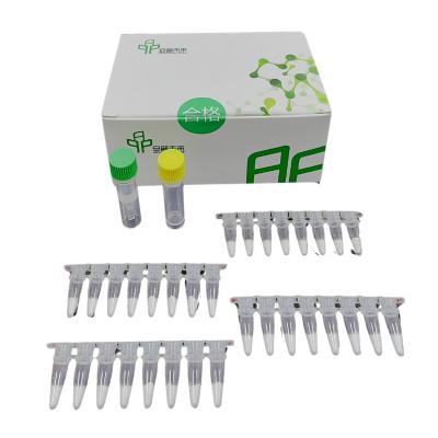 Kit de PCR isotérmico de RNA de teste conveniente em casa