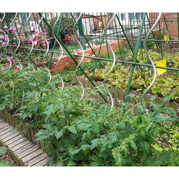 10mm 1.8m Aluminum Curved Grow It Wire Climbing Plant Supports