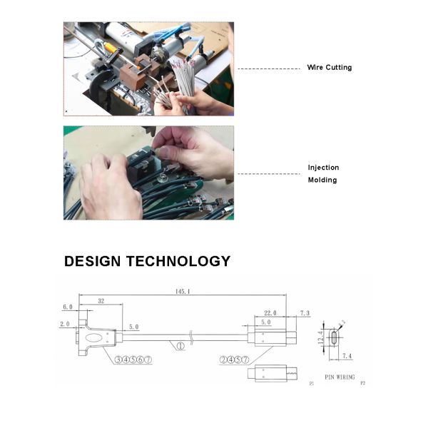 Wuhan Lanxu Technology Co., Ltd.