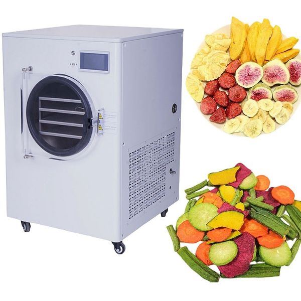 2024 Hottest Product Food Freeze Dryer Machine for Home Continuous Drying Machine