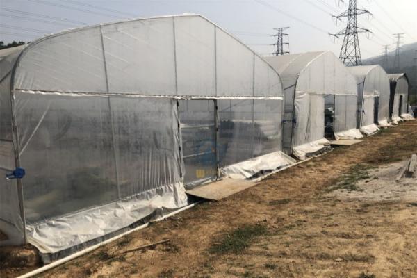 Easily Installed UV Plastic Covering Greenhouses for Commercial Agriculture