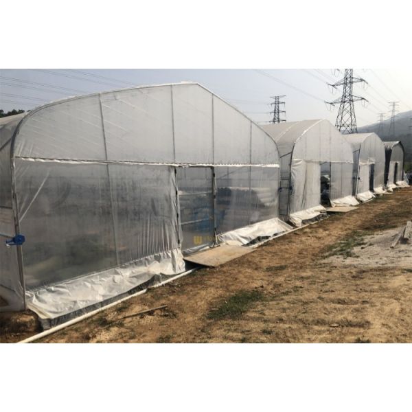 UV Block Plastic Covering Greenhouse Galvanized Steel Frame Greenhouses For Commercial Agriculture