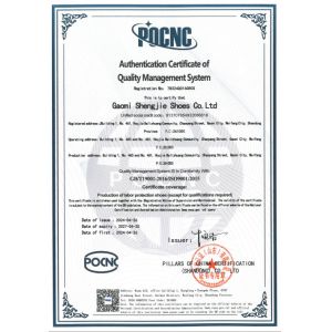 Gaomi Shengjie Shoes Co., Ltd. Сертификации