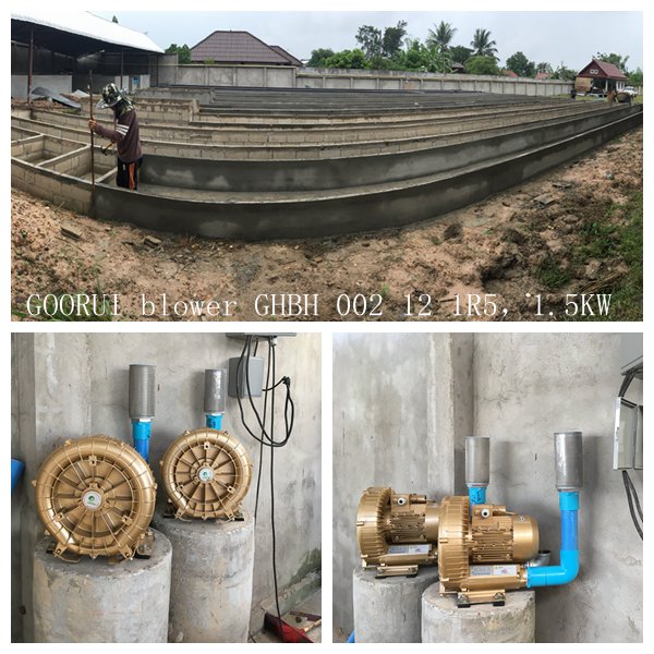 1.5kw Single Phase ring blower air pump for samll Fish Pond Farming Aerator