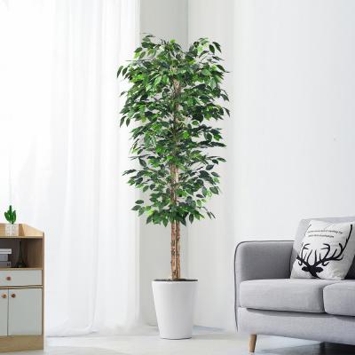 Arda - a planta artificial retardadora do ficus de H180cm, olhar natural da árvore falsificada do ficus