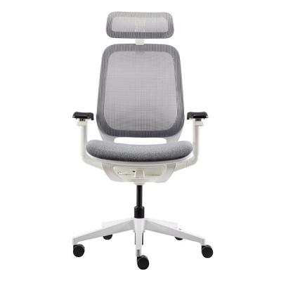 Computer Desk Chair With Mesh Seat And High Back Multifunction For Relaxation​ Ergo Office Chair