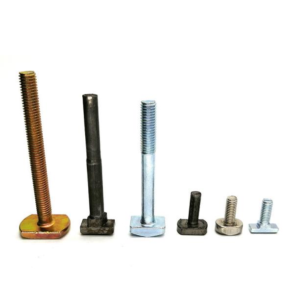 Stainless Steel T Slot Bolt M6 Hammer Bolt with Passivated Finish T-Bolt Galvanized T Head Bolt