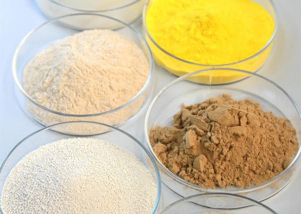 Soluble In Water Alcohol Fermentation Bio Enzymes For Wastewater Treatment ISO22000