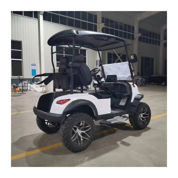 Minimum Grand Clearance 100-150mm Equipped Standing Postion Excar Mini Golf Cart Club Car
