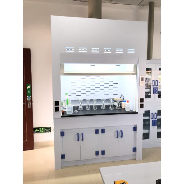 Modern Polypropylene Fume Hood Anti Corrosive Laboratory Fume Cabinet Customized