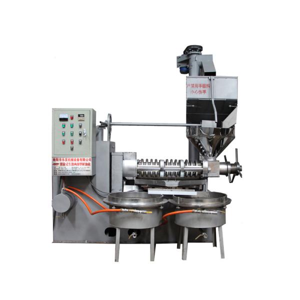 Expulsor industrial do óleo de palma da máquina da imprensa de óleo do parafuso 18.5kw da liga
