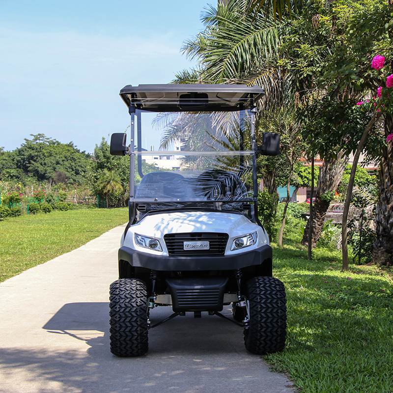 EXCAR Electric Hunting Buggy With Trojan Battery/Curtis Controller