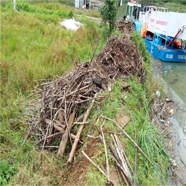 2250mm 2000m2/h Reed Aquatic Weed Harvester Ship Grass Cutting Boat