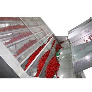 0.2 To 0.5mPa Steam Air Recycling Red Dates Mesh Belt Dryer Machine For Fruit