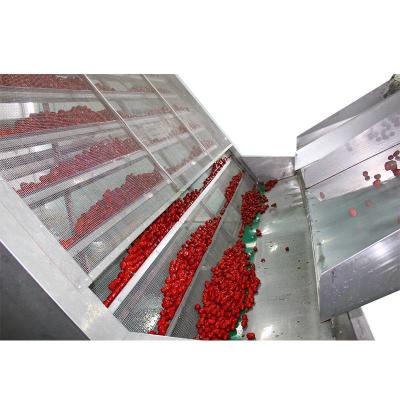0.2 To 0.5mPa Steam Air Recycling Red Dates Mesh Belt Dryer Machine For Fruit