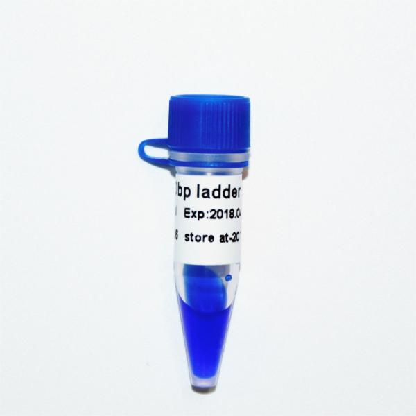 500bp Ladder DNA Marker M1251 (50μg)/M1252 (5×50μg)