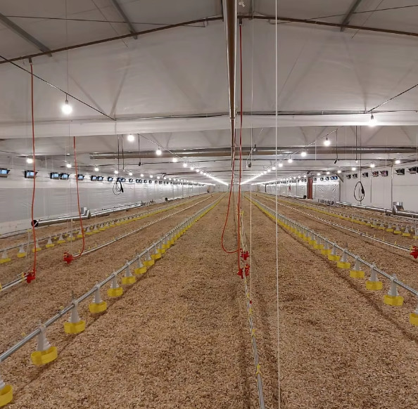 Modern Design Steel Structure Broiler House Chicken Warehouse For Farmhouse