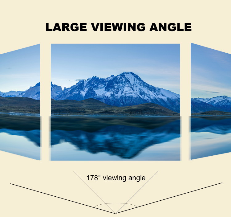 Fast IPS 1K FHD 24 Inch LCD Computer Monitor Bezel Less 1920x1080 With Fixed Bracket