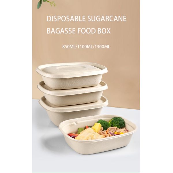 Disposable Party Dinnerware Take Away Salad Box 850ml 1100ml 1300ml Sugarcane Bagasse Pulp Box Packaging