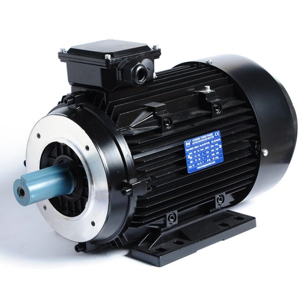 3 Phase Induction Motor Insulation Class F 2KG for Popular Washing Machine Water Pump