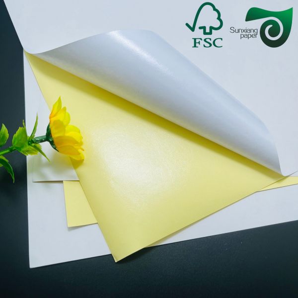 FSC 80gsm Semi Glossy Self Adhesive Sticker Paper  Medicine Label Adhesive Paper