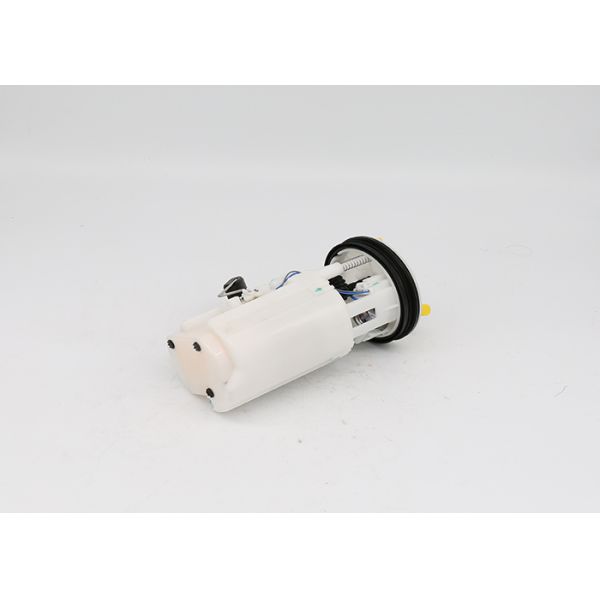 31110-25000 Fuel Tank Assembly , Fuel Pump Assy For KIA Maxima Hyundai Accent