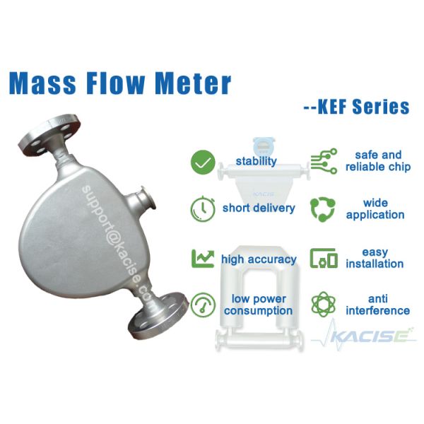100% здоровый материал Кориолис тяжелый массовый потокомер / потокомер молока