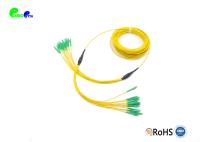 12F cordón de remiendo micro de la fibra óptica del fanout LC APC - grado principal B1 del IEC del OD del cable del fanout 2.0m m del cable 3.0m m OD del LC APC SM OS2