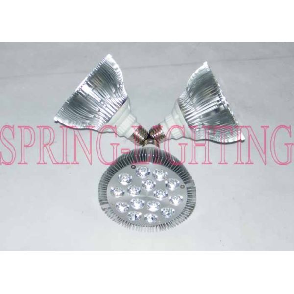 PAR38 Color Changing RGB LED Flood Light for Hotel, Entertainment Place, Coffee House