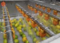 Resplendor de alta pressão da água do líquido de limpeza vegetal pequeno do vegetal de fruto da máquina do processador da erva
