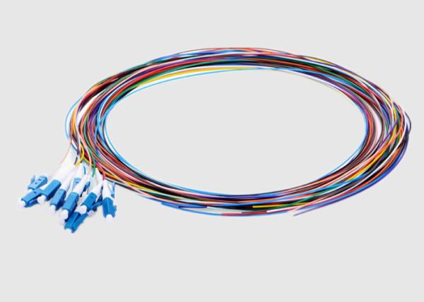 trança da fibra ótica 10Gbps