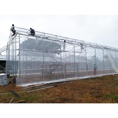 200micron PE Film Ventilation System Greenhouse High Security Weather Proof