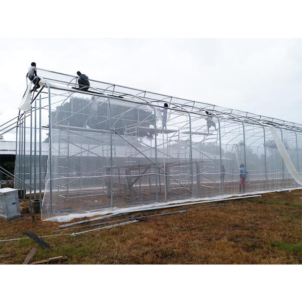 200micron PE Film Ventilation System Greenhouse High Security Weather Proof