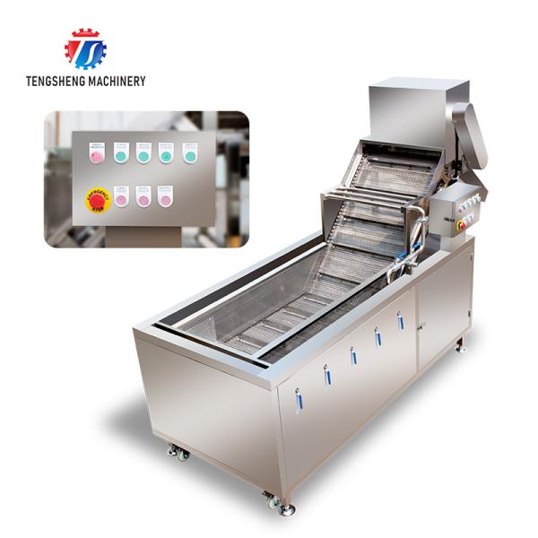 2.6KW Commercial vegetable washing machine Vegetable bubble cleaning machine vegetable cleaning equipment