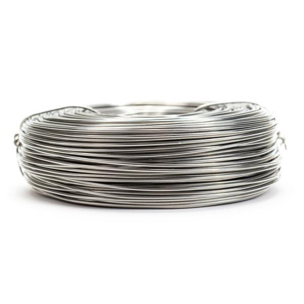 fio de aço inoxidável da mola 304N