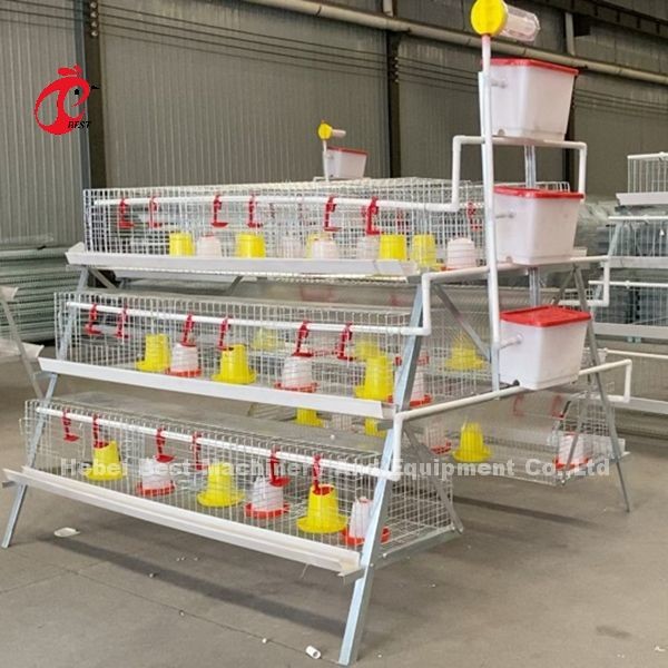 China Imported Coated Chicken Battery Cage ISO9001 , Layer Chicken Cage System 4 Door Sandy