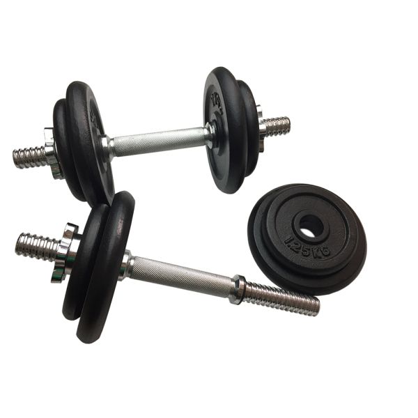 Black Painting 1-inch Cast Iron Weight Disc Plates