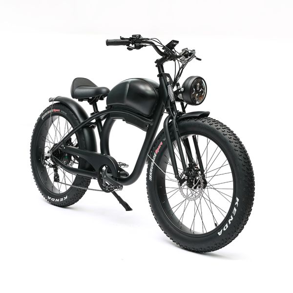 Long Range 48V 750W Rear Hub Motor Electric Motorbike with 48V 20Ah Lithium Battery