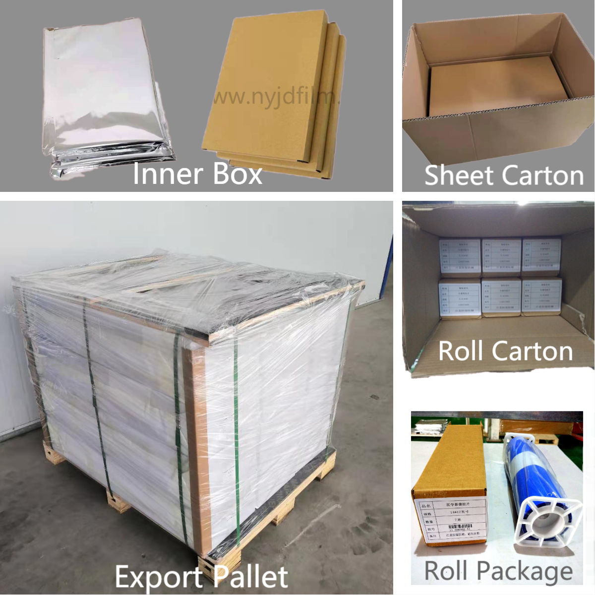 ANIMAL FAMILIER bas bleu du jet d'encre X Ray Film 10*12in de résistant à l'eau X Ray Film