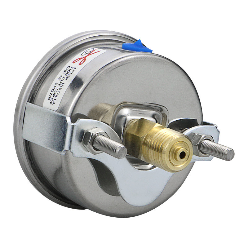 Zhejiang Made 62.5mm Nominal Diameter 100psi/bar Back/Axial Connection Pressure Gauge