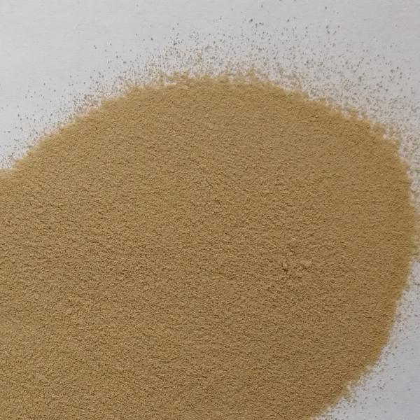 Powerful Washing Protease Enzyme for pH Range 5.5-11.5 and Temperature Range 30C-65C