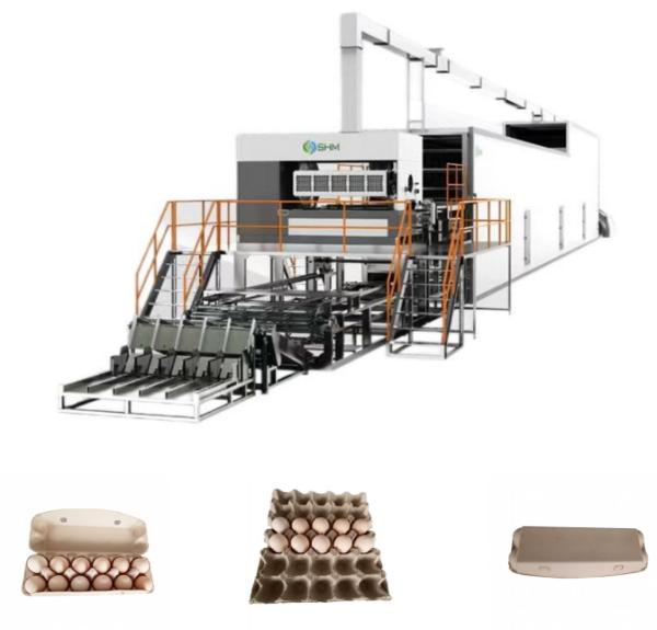 Custom Paper Tray Making Machine Long Lasting For Egg Trays Boxes