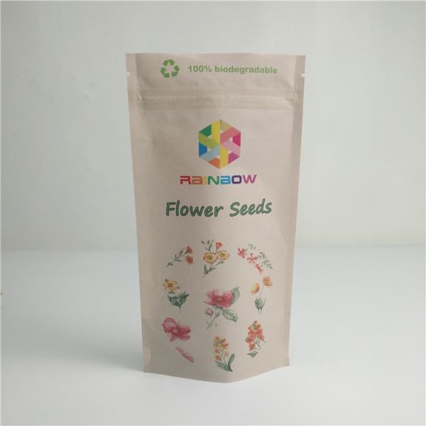 Compostable Food Kraft Paper Bag Custom Printing 100% Biodegradable Fruit Packaging Bags