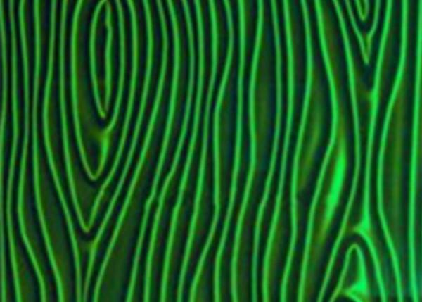 Decorative Printed Laminated Glass , 5mm Laminated Shower Glass