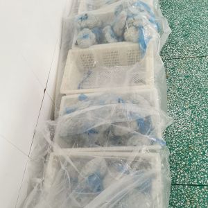 intestino do cordeiro de 22/24mm que encaixota o armazenamento forte da dureza no frio