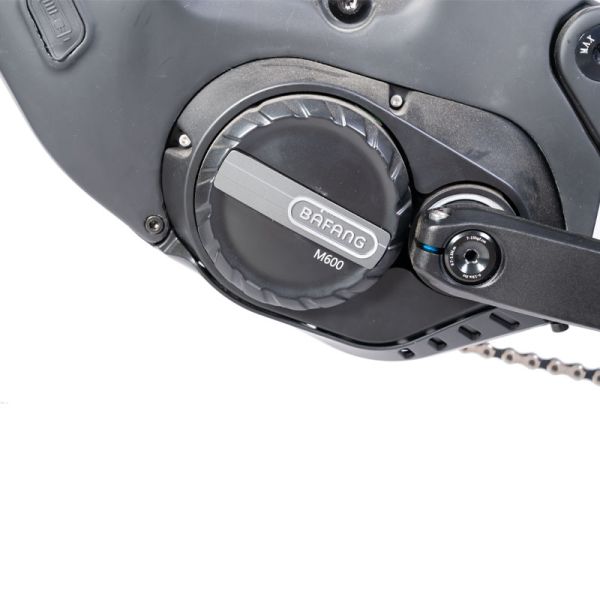 Fast Speed Central Motor Electric Mountain Bike with Color LCD Display and Disc Brake
